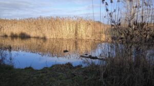 Willkommen bei uns zu Hause